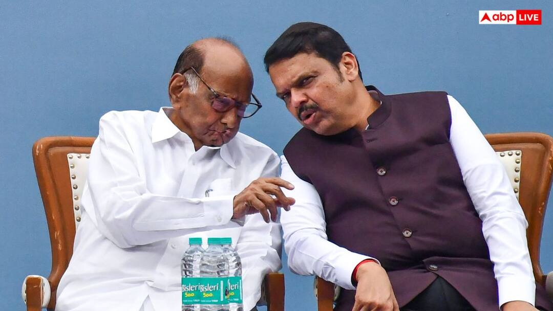 देवेंद्र फडणवीस से मुलाकात करेंगे शरद पवार, माणिकराव कोकाटे के इस्तीफा को लेकर बना सकते हैं दबाव! Sharad Pawar to meet CM Devendra Fadnavis Manikrao Kokate controversy may be discussed ann देवेंद्र फडणवीस से मुलाकात करेंगे शरद पवार, माणिकराव कोकाटे के इस्तीफा को लेकर बना सकते हैं दबाव!