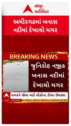 Banaskantha news: અમીરગઢમાં બનાસ નદીમાં દેખાયો મગર, જોવા માટે લોકોના ટોળા ઉમટ્યા