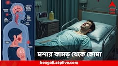 সামান্য জ্বর থেকে বিকল স্নায়ু, থাবা চওড়া হচ্ছে ওয়েস্ট নাইল ভাইরাসের, মশার কামড়েই সর্বনাশ