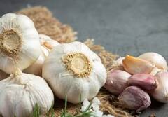 ਪੇਟ 'ਚ ਹੋ ਗਏ ਕੀੜੇ ਤਾਂ ਅਪਣਾਓ ਆਹ ਘਰੇਲੂ ਤਰੀਕੇ, ਮਿਲੇਗਾ ਆਰਾਮ, ਨਹੀਂ ਜਾਣਾ ਪਵੇਗਾ ਡਾਕਟਰ ਕੋਲ