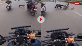 तेज रफ्तार बाइक से टकराया कुत्ता! कई फीट तक घिसते हुए गया शख्स- दिल दहला देगा वीडियो