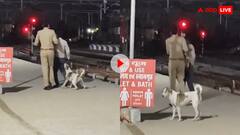 डोगेश का इंसाफ! ना तारीख और ना ही सुनवाई, कुत्ते ने किया तुरंत फैसला- वीडियो वायरल