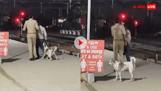 डोगेश का इंसाफ! ना तारीख और ना ही सुनवाई, कुत्ते ने किया तुरंत फैसला- वीडियो वायरल