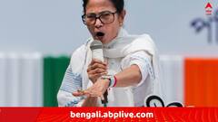 বাঙালিদের হেনস্থার অভিযোগে এবার নিউইয়র্কের NGO-র রিপোর্ট তুলে BJP-কে নিশানা মমতার, 'এটা লজ্জার..' !