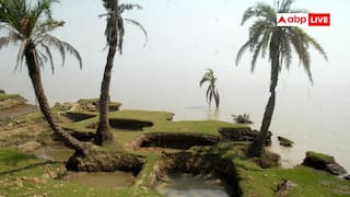 समंदर की गोद में समा गया भारत का यह द्वीप, कभी बांग्लादेश भी इस पर करता था दावा