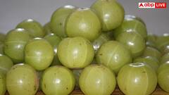 कच्चा आंवला-आंवला पाउडर या सूखा हुआ आंवला? जानें सेहत को किससे मिलता है सबसे ज्यादा फायदा