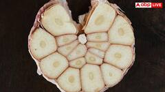 सुबह बिस्तर छोड़ते ही यह सफेद चीज खा लेते हैं चंकी पांडे, खुद बताया- कितना होता है फायदा