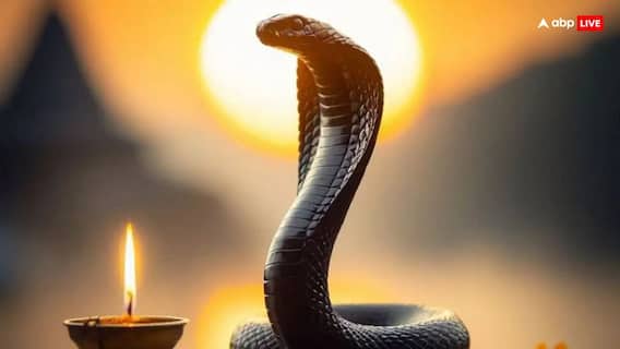 Nag Panchami 2025: 42 साल तक रहता है कालसर्प दोष, लेकिन नाग पंचमी पर इन उपायों को करने से टल जाता है बड़ा खतरा! Nag Panchami 2025: 42 साल तक रहता है कालसर्प दोष, लेकिन नाग पंचमी पर इन उपायों को करने से टल जाता है बड़ा खतरा!