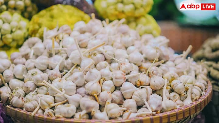 अगर लहसुन ज्यादा खाया जाए तो पेट में जलन, ब्लोटिंग और सांस की बदबू की समस्या हो सकती है. खून पतला करने वाली दवाएं लेने वाले लोग ज्यादा लहसुन खाने से बचें.