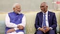 भारत के साथ फ्री ट्रेड डील करना चाहता है मुस्लिम देश मालदीव, आखिर क्यों चीन को झटका देना चाहते हैं मोहम्मद मुइज्जु?