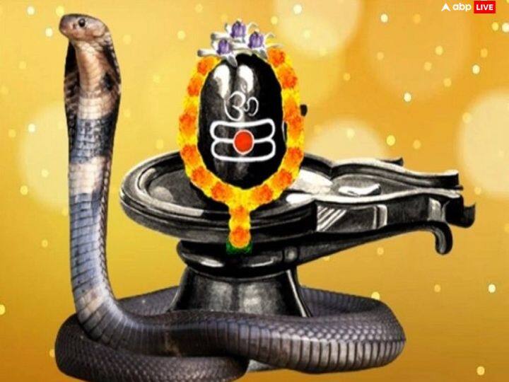 अगर चांदी के नाग-नागिन नहीं बनवा पा रहे हैं तो एक बड़ी सी रस्सी में 7 गांठें लगाकर उसे सर्प बना लें और फिर विधिवत इसकी पूजा करें. राहु-केतु के बीज मंत्र का जाप करें. फिर शिव का ध्यान करते हुए एक-एक गांठ खोलते जाएं और रस्सी को जल में प्रवाहित करें. ये उपाय कालसर्प दोष दूर करता है.