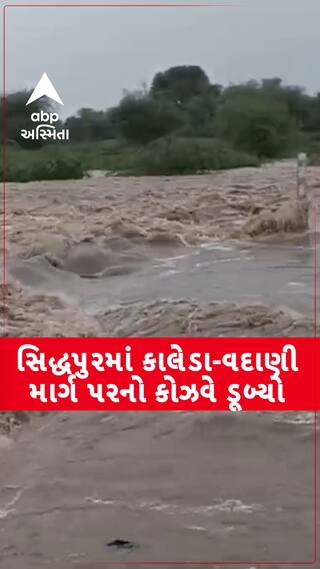Patan Rain : સિદ્ધપુરની નદીમાં આવ્યા નવા નીર, કાલેડા-વદાણી માર્ગ પરનો કોઝવે ડૂબ્યો