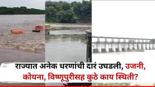 राज्यभरात सर्वदूर पावसाची हजेरी, कोयनेसह उजनी, वीर धरणातून विसर्ग वाढवला, चंद्रभागेसह गोदाकाठही खळाळला, कुठे काय परिस्थिती? वाचा