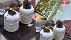 इसे देखने के बाद कभी नहीं पिएंगे रेलवे स्टेशन से पानी! रेलवे स्टेशन का घिनौना वीडियो हो रहा वायरल