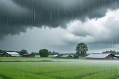 Gujarat Rain Forecast:ગુજરાતના આ જિલ્લામાં અતિ ભારે વરસાદની આગાહી, રેડ એલર્ટ જાહેર