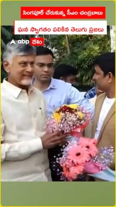 CM Chandrababu receives grand welcome in Singapore