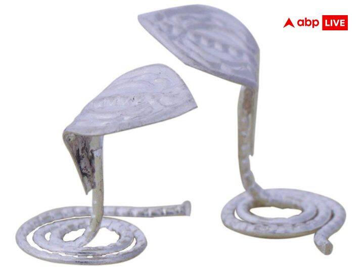 శ్రావణ మాసంలో శివలింగంపై వెండి జంట నాగులను సమర్పించడం చాలా పవిత్రమైనదిగా పరిగణిస్తారు. జ్యోతిష్య శాస్త్రం ప్రకారం ఇది దైవిక అనుగ్రహం. కష్టాల నుంచి విముక్తిని కలిగిస్తుంది. అందుకే శ్రావణ మాసంలో ప్రజలు జంట నాగులను కొనుగోలు చేసి నాగపంచమి రోజు సమర్పిస్తారు