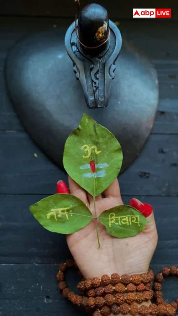 तीन पत्ते वाले बेलपत्र का क्या है महत्व