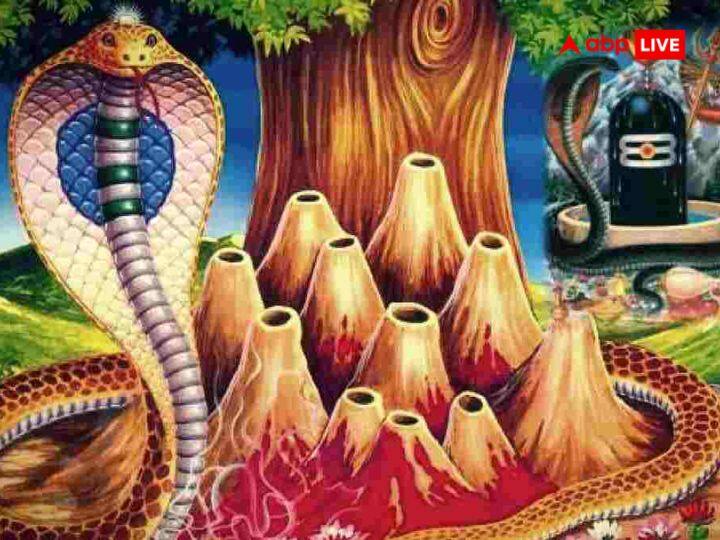 శ్రావణ మాసంలో ఏ రోజైనా శివలింగంపై జంట నాగులను సమర్పించవచ్చు..అయితే శ్రావణసోమవారం, మాస శివరాత్రి, నాగపంచమి రోజుల్లో మరింత శుభప్రదం. జంట నాగులను ఆలయంలో శివలింగం దగ్గరే వదిలేయవచ్చు లేదంటే ఇంటికి తీసుకొచ్చి పూజా స్థలంలో పెట్టి పూజించవచ్చు