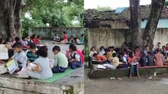 एमपी: सागर के सरकारी स्कूल में एक साल से पेड़ के नीचे बैठकर पढ़ाई कर रहे बच्चे, खतरे में भविष्य!
