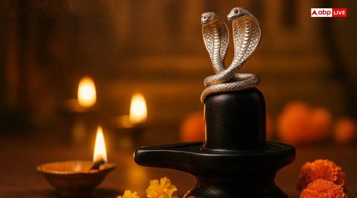 Silver Naag Nagin: శ్రావణ మాసంలో జంటనాగులను శివుడికి సమర్పిస్తే జాతకంలో ఉండే గ్రహ దోషాలు తొలగిపోతాయని చెబుతారు జ్యోతిష్య శాస్త్ర పండితులు. శ్రావణ సోమవారం, నాగపంచమి రోజుల్లో మరింత ప్రత్యేకం..