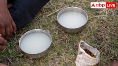 केरल की ताड़ी या गोवा की फेनी, किसमें ज्यादा होता है नशा?
