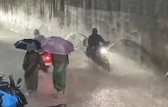 Rain: ગુજરાતમાં અડધી રાત્રે મેઘરાજાની ધમાકેદાર બેટિંગ, 181 તાલુકામાં ખાબક્યો, સૌથી વધુ વડગામમાં 7 ઇંચ, વાંચો આંકડા