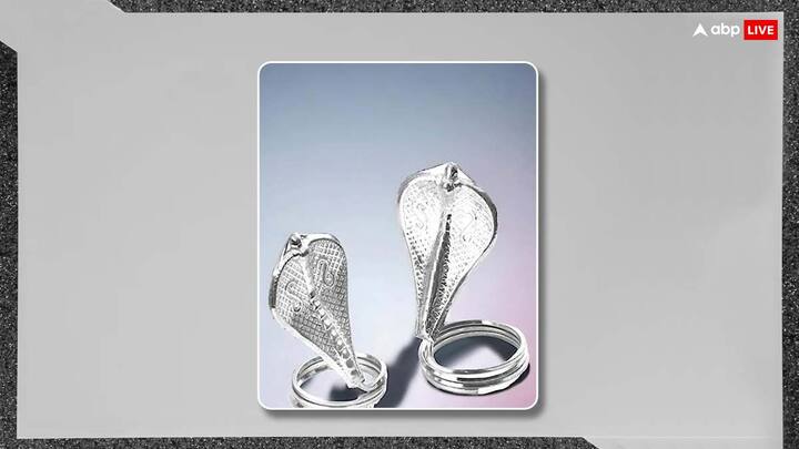 इस साल नाग पंचमी 29 जुलाई को है. इस दिन चांदी के नाग-नागिन की पूजा करें और फिर इन्हें शिव मंदिर में दान दे दें. ये उपाय कालसर्प दोष से राहत दिलाता है.