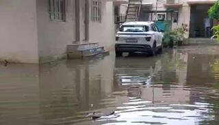 Gujarat Rain: અરવલ્લી જિલ્લામાં સાર્વત્રિક વરસાદ, મોડાસામાં સૌથી વધુ 6 ઇંચ વરસાદ પડતા ઘરો-દુકાનોમાં પાણી ઘૂસ્યા