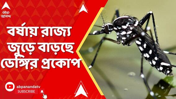 বর্ষায় রাজ্য জুড়ে বাড়ছে ডেঙ্গির প্রকোপ। উদ্বিগ্ন চিকিৎসকরা