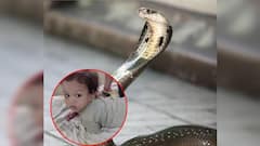 बिहार: बेतिया में एक साल के बच्चे ने खेल-खेल में नाग को चबाया, फिर जो हुआ वो हैरान कर देगा