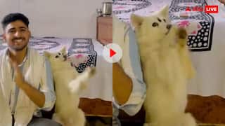 भक्ति में डूबा डोगेश! मालिक के साथ कुत्ते ने आरती में बजाई तालियां, वीडियो देख हैरान रह जाएंगे आप