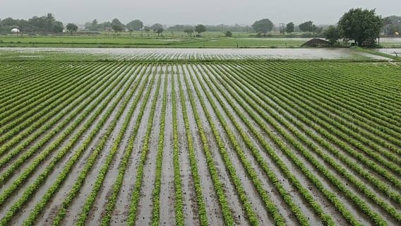 Rain Forecast: રાજ્યમાં કઇ તારીખ સુધી કયા જિલ્લામાં વરસશે ભારે વરસાદ, જાણો વેધર અપડેટ્સ Rain Forecast: રાજ્યમાં કઇ તારીખ સુધી કયા જિલ્લામાં વરસશે ભારે વરસાદ, જાણો વેધર અપડેટ્સ