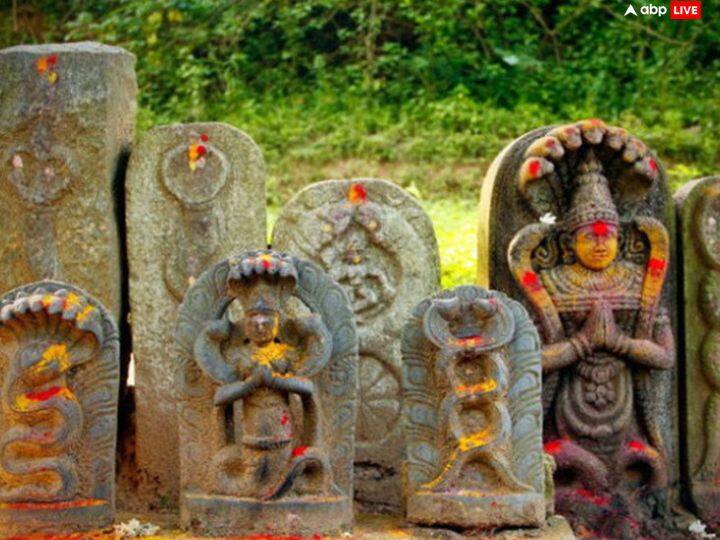कालसर्प दोष हो तो व्यक्ति जीवन में बहुत संघर्ष करता है. कारोबार ठप्प पड़ जाता है. जीवनसाथी के साथ रिश्ता टूट जाता है. छवि को नुकसान होता है.