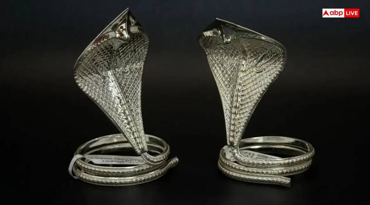 నీరు, పాలు, పెరుగు, నెయ్యి లేదా తేనెతో శివలింగానికి అభిషేకం చేయండి. తరువాత శివలింగం జంటపాములను ఉంచండి.