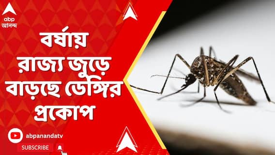 বর্ষায় রাজ্য জুড়ে বাড়ছে ডেঙ্গির প্রকোপ, কী জানাচ্ছে স্বাস্থ্য দফতরের পরিসংখ্যান?