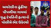 Amreli Murder case: અમરેલીના ઢુંઢીયા પીપળીયા ગામમાં વૃદ્ધ દંપતિની હત્યાનો પોલીસે ભેદ ઉકેલ્યો