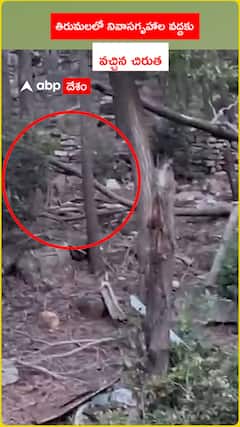 Leopard arrives at Tirumala residence