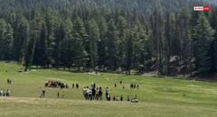 'जाओ, जाकर मोदी को बता देना', पहलगाम में पल्लवी को दी थी आतंकियों ने धमकी, ऑपरेशन महादेव में हुए ढेर