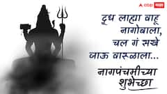 Nag Panchami 2025 Wishes In Marathi: शिवाच्या गळ्यातील हार, शेतकऱ्याचा मित्र बनला! नागपंचमीला प्रियजनांना फोटोसहित मराठमोळ्या हटके शुभेच्छा द्या!