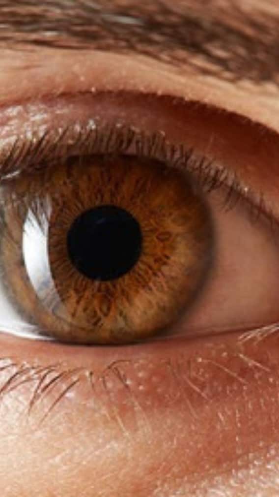 বাঁ চোখ লাফাচ্ছে? কোনও অশুভ ইঙ্গিত নয় তো?