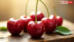 नैचुरली कम हो जाएगा बढ़ा हुआ यूरिक एसिड, ये पांच वेज फूड्स आएंगे आपके काम