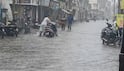 Gujarat Rain: 2 દિવસ અત્યંત ભારે વરસાદની આગાહી, દક્ષિણ ગુજરાતમાં બારે મેઘ ખાંગાની સ્થિતિ સર્જાઈ શકે