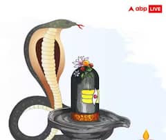 Nag Panchami: ਨਾਗ ਪੰਚਮੀ ਵਾਲੇ ਦਿਨ ਲੋਹੇ ਦੀਆਂ ਚੀਜ਼ਾਂ ਦੀ ਵਰਤੋਂ 'ਤੇ ਮਨਾਹੀ, ਸਮੱਸਿਆਵਾਂ ਨਾਲ ਘਿਰੇਗੀ ਜ਼ਿੰਦਗੀ; ਜਾਣੋ ਕਿਵੇਂ ਪੈਣਗੇ ਮਾੜੇ ਪ੍ਰਭਾਵ?