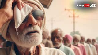ज्यादा गर्मी की वजह से जल्दी आ रहा बुढ़ापा? इन टिप्स को फॉलो करेंगे तो मिलेगी राहत