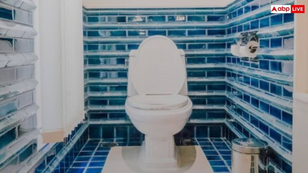 do you avoid sitting on seat in public toilet harmful for health क्या आप पब्लिक टॉयलेट में सीट पर बैठने से बचती हैं? ये आदत आपकी सेहत को बिगाड़ सकती है