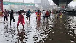 MP Weather: एमपी के कई जिलों में भारी बारिश से जनजीवन प्रभावित, मौसम विभाग ने जारी किया रेड-अलर्ट