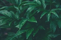 West Bengal Weather Update āĻāĻāĻžāĻŽā§ āĻā§ā§āĻāĻĻāĻŋāύ āĻā§āύ āĻā§āύ āĻā§āϞāĻžā§ āĻāĻžāϰ⧠āĻĨā§āĻā§ āĻ
āϤāĻŋ āĻāĻžāϰ⧠āĻŦā§āώā§āĻāĻŋāϰ āϏāϤāϰā§āĻāϤāĻž āϰā§ā§āĻā§?