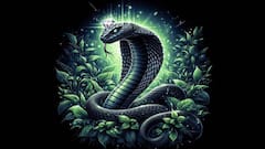 Nag Panchami 2025: నవ నాగశక్తులను ప్రసన్నం చేసుకునే కవచం -  నాగ దోషం నుంచి విముక్తి కలిగించే అస్త్రం!