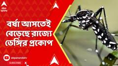 Dengue Increase: বর্ষা আসতেই বেড়েছে রাজ্যে ডেঙ্গির প্রকোপ | ABP Ananda LIVE